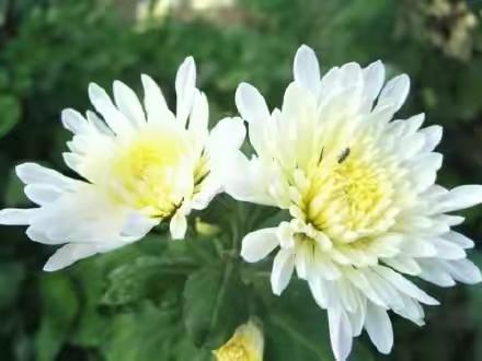 父亲的周年祭日