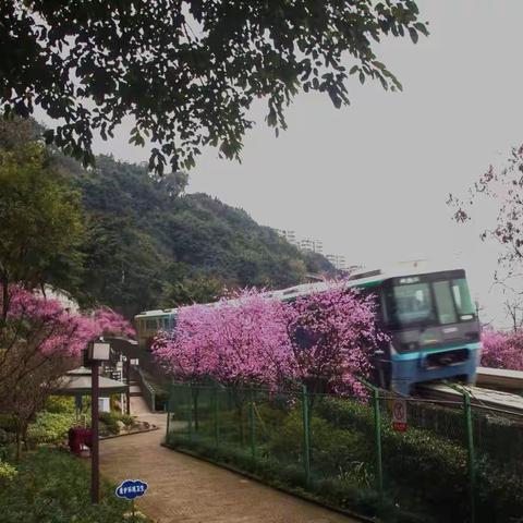 开往春天的列车