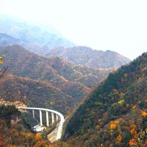 秦岭之约（留坝）