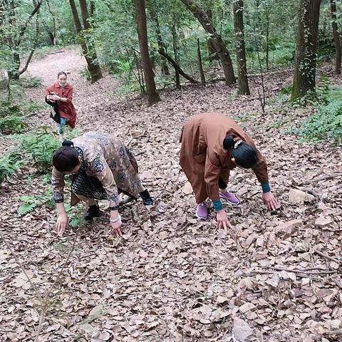 重阳节登喻家山