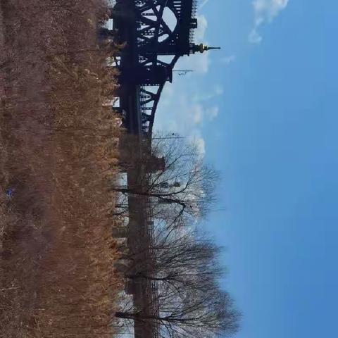 春游群利湿地公园