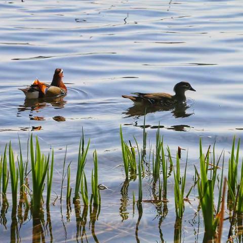 北京颐和园美景