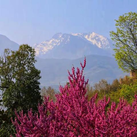 四川黄龙溪古镇