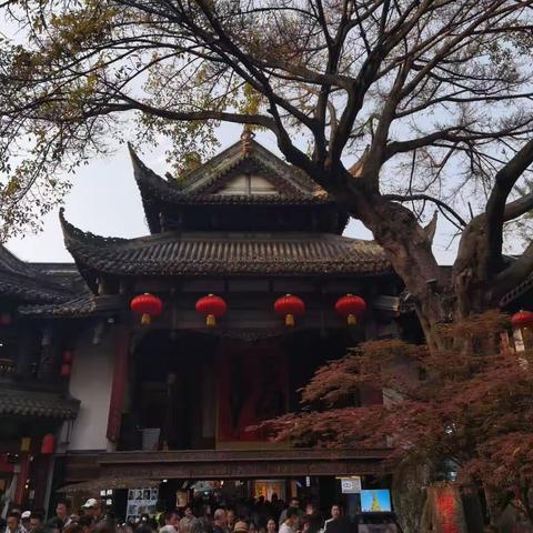 成都锦鲤、宽窄巷子