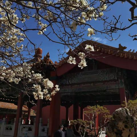 北京故宫博物院拍摄