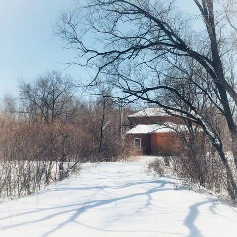 踏雪寻春（下）