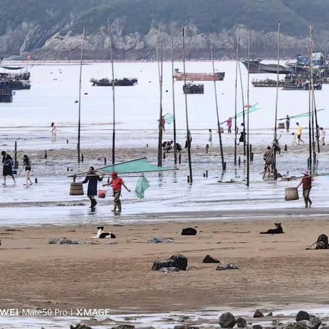 2023/8/15日霞浦琼森摄影团