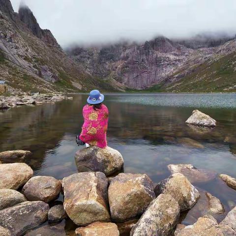 山高人为峰——细数八哥“征服”过的那些山脉