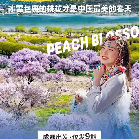 【万年青大美川藏·10日】冰雪包裹的桃花才是中国最美的春天