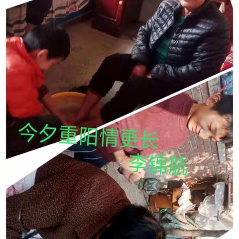 爱在重阳