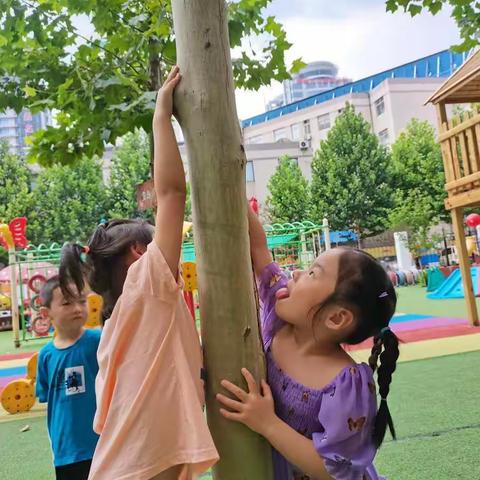 《夏雨后的世界》胡西幼儿园小六班