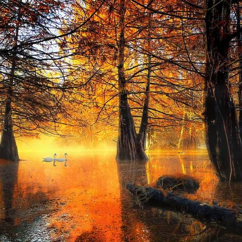 鄭向陽: 2021參賽一年回顧