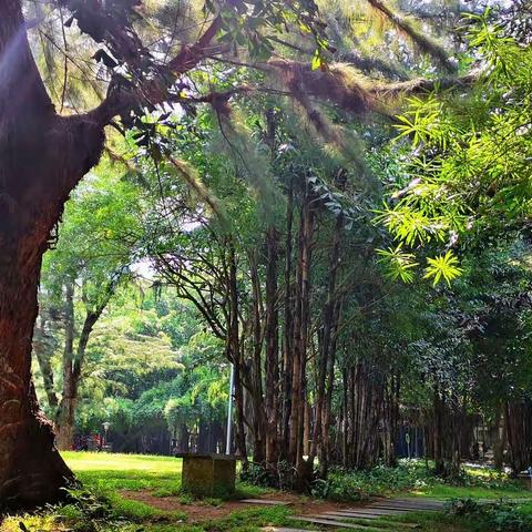 致敬永远的青年节