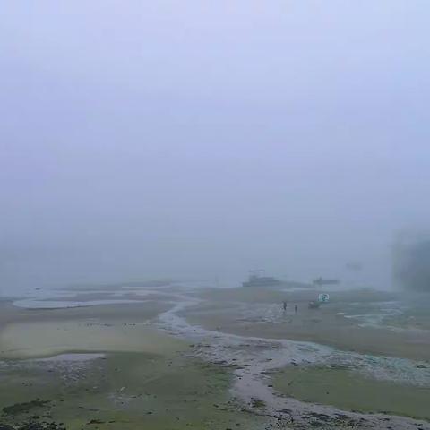 那些雾朦胧雨蒙蒙的日子