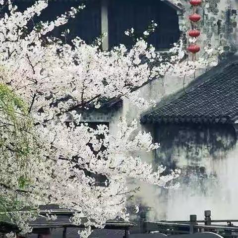 "回归常态，魅于实效"舒兰市中小学"走进魅力班会"展示活动篇十二