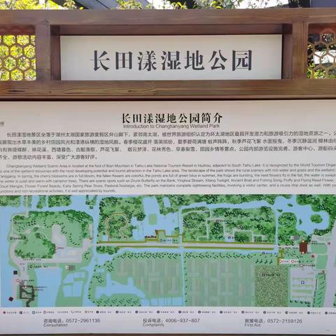 飞凤太极拳友游玩长田漾湿地公园（2023.4.8.）