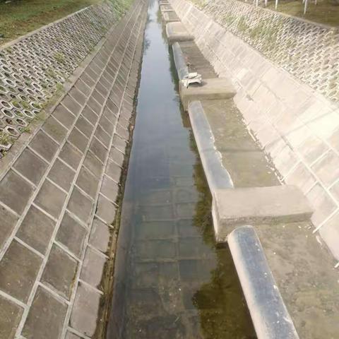 三渠管理站精细化周工作动态