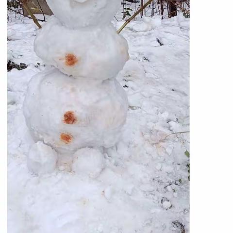 飞雪迎春到   瑞雪兆丰年