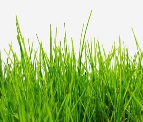 【戏剧风采】童心向党 戏剧周展演——历史殿堂5.2班