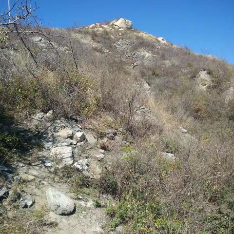 重阳节快乐！黄山一日游。