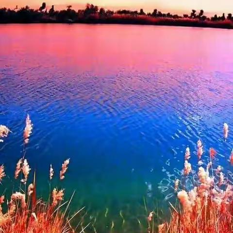 夕阳无限好，美丽在人间。