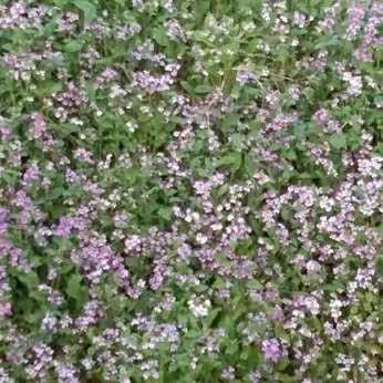 积跬步行千里  学太谷向前追