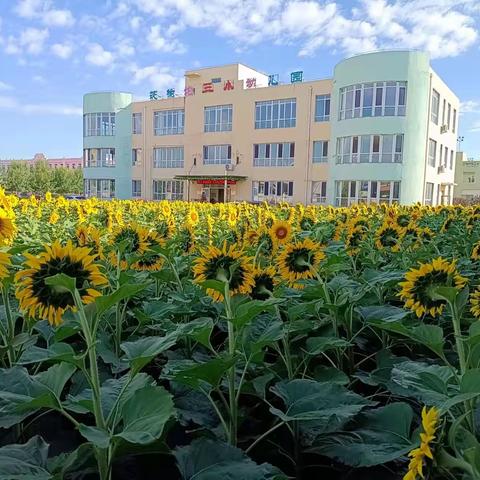 【温馨提示】茨榆坨第三小学幼儿园—疫情防控致师生家长的一封信