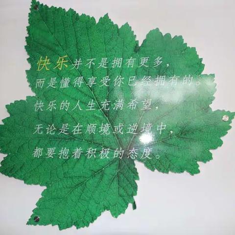 特色教室 快乐学习——唐县第三小学校园文化（四）