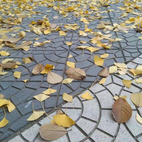 我们都走在奔向死亡的路上（三）