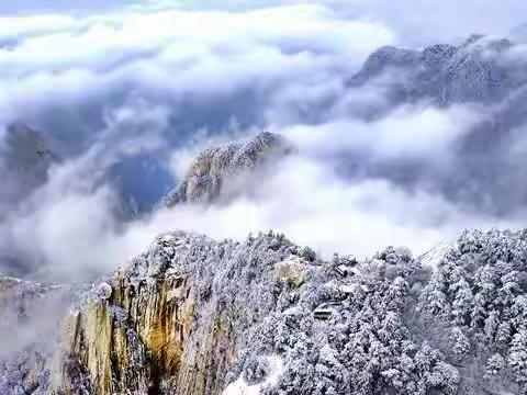 再见2018，你好！2019。