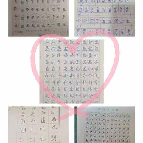 “双减”后的花样暑假——第九师161团中学小学低段暑假生活练字篇​