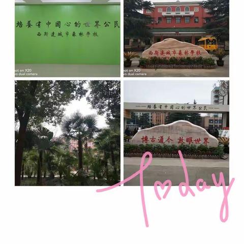 随风潜入夜，润物细无声---走进新时代小学语文教学观后感