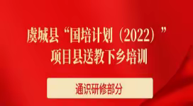 虞城县“国培计划2022”项目县送教下乡培训学习记录