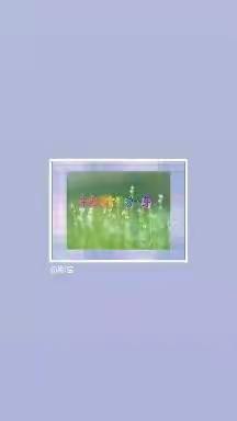 辛山幼儿园中班线上活动指导（第七周）