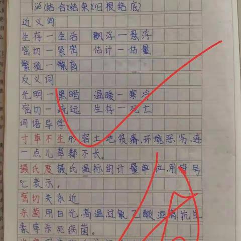 研思并进谈教学，云端聚力共提升。—五年级语文组线上教研活动