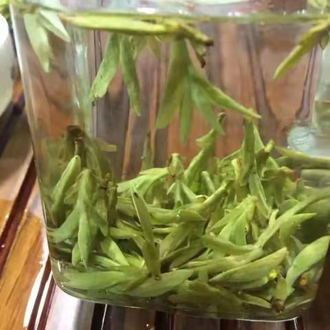 龙井怎么可以如此美丽