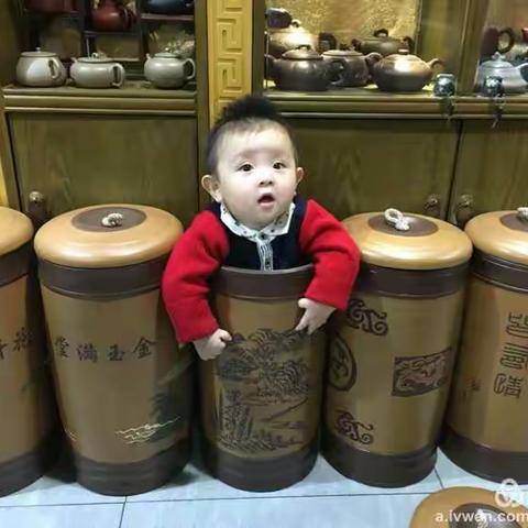 闲来无事、播种、成长、人身茶