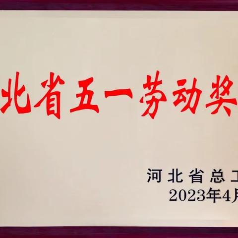 国家税务总局乐亭县税务局荣获河北省“五一劳动奖状”荣誉称号