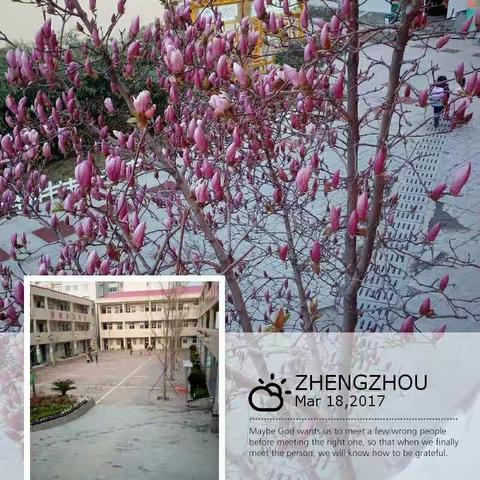 我的美篇