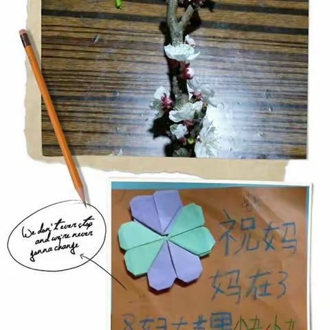 我的美篇（副本）