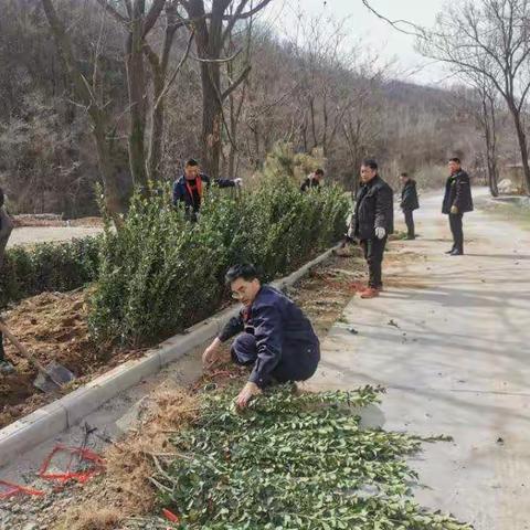 2021年植树简报