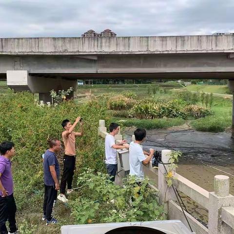 检查清淤项目情况