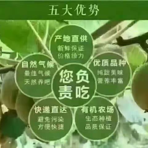 好山好水育好桃👉 家里没矿，但是有土地，地里有树 ，树上有猕猴桃！😍