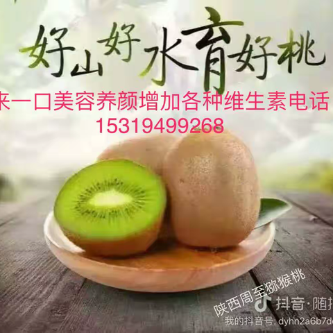 中秋礼品好水果～周至各种猕猴桃，基地直发，保证新鲜