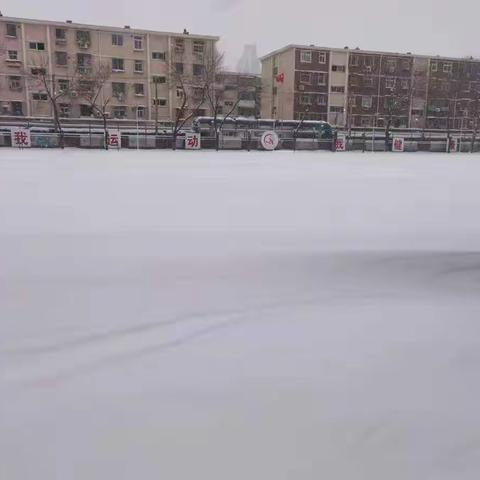 皑皑白雪惹人醉，扫雪破冰暖人心——广州道小学教师扫雪活动