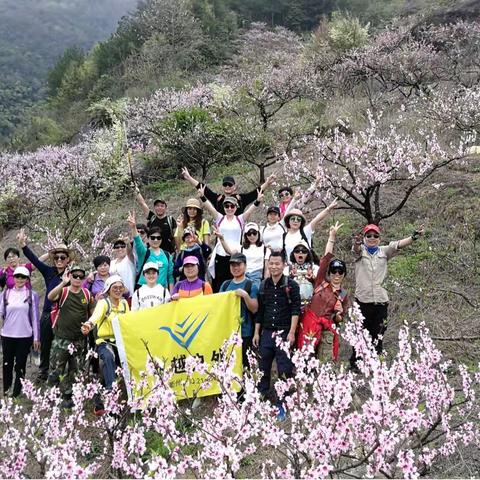 【春暖花开】3月24日徒步转轮岩十里紫荆花，赏源东千亩桃花坞 .....