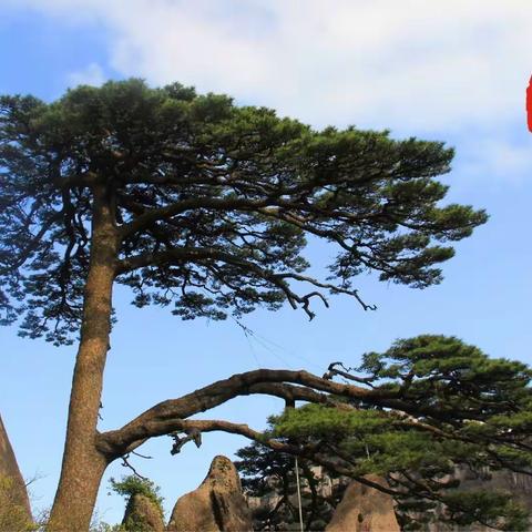 大美黄山游记