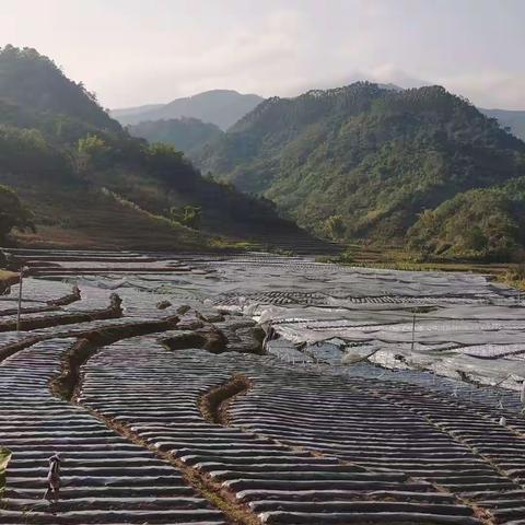 两言五话说人生