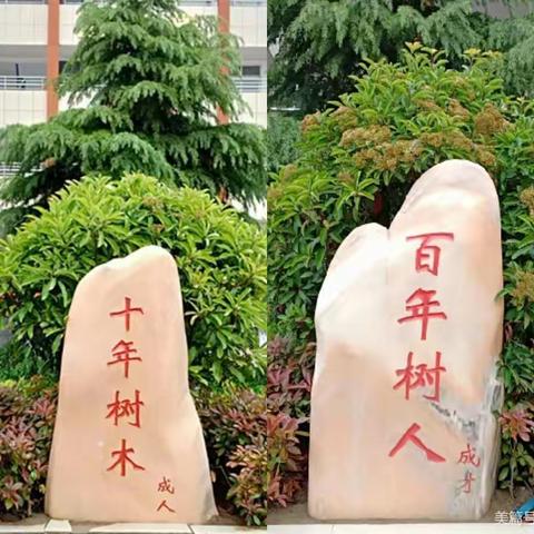 总结、反思、进步、成长------郸城县实验小学三年级语文期中研讨会