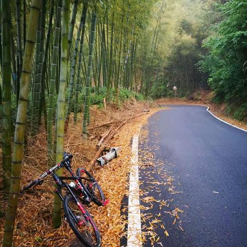 雨骑皖南川藏线